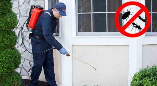Zeytinalanı Tahtakurusu İlaçlama böcek ilaçlama ve haşere kontrolü — ilaclama-tr.com